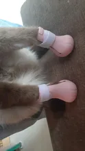 Funda de baño antimordedura para zapatos de gato, Protector de patas para mascotas, antiarañazos, ajustable