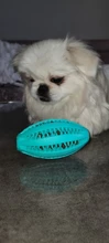 Suave juguete para perros perro de juguete pelota de elasticidad interactivo Toothclean mordedores de juguete para perros cachorro pequeño mediano grande suministros para mascotas perros