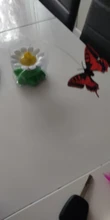 Lindo eléctrico rotatorio de mariposa pájaro perro gato gracioso juguetes juguete para rascar para gato pequeño perro gatos de inteligencia que contengan