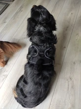 De Nylon reflectante perro arnés sin tirones ajustable mediano grande perro travieso Chaleco de seguridad Vehicular plomo caminar correr