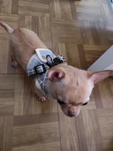 Arnés pequeño y mediano para perro, correa reflectante transpirable para el pecho, a cuadros, ropa para mascota Bichón, suministros de cadena para perro, chaleco estampado