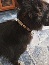 Puppy-Dog-Cat-Collar Engraved Bling Custom Personalized Pet-Dog Dogs Chihuahua Collars