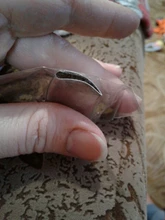 Boquilla de decoración de pasteles con pétalos de rosa, Punta glaseado de acero inoxidable, boquillas de pastelería para crema, pétalos de flores, n. ° 122