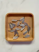 OlingArt-plumas naturales Multicolor, 35MM, 10 unids/lote, Clips de Metal de bronce, DIY, collar, pendientes, colgantes de correas para fabricación de joyería