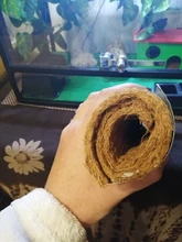 Reptile-Cushion Coconut-Pad Natural-Mat Lizard Habitat Snake-Turtle Spider for Pet-Supplies