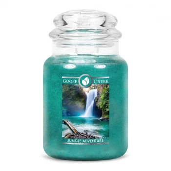 Jungle Adventure scented candle/Tropical Adventure
Jungle Adventure scented candle/Tropical Adventure