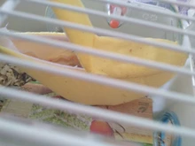 Hammock Rat House Hamster-Accessories Hanging Banana-Shape Warm Nest Tree-Beds Novelty