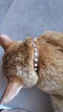 Collar de cuero sintético con diamantes de imitación para perros y gatos pequeños, accesorios para mascotas, correa para Collar de perro de diamantes, 12 colores