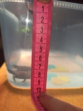 Vivarium-Box Platform Feeding-Box Tortoise Basking-Ramp Turtle Reptile Home-Aquarium