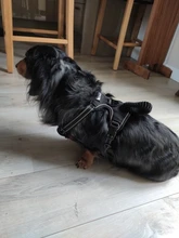 De Nylon reflectante perro arnés sin tirones ajustable mediano grande perro travieso Chaleco de seguridad Vehicular plomo caminar correr