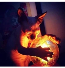 2019 nueva suerte corazón pulsera de estrella para mujeres y niños de Color rojo cuerda cadena ajustable pulsera hecha a mano bisutería pulsera Simple