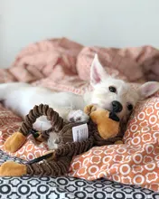 Juguetes con forma de Animal para perros pequeños y grandes juguete para morder, chirriante para cachorros, juguete interactivo para masticar, accesorios para mascotas