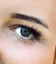 Kimcci-pestañas de visón Premium individuales, extensión de pestañas de cola de pato, racimo 3D Natural, maquillaje profesional, pestañas acampanadas, 120 Uds.