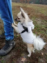 Jacket Clothing Puppy-Clothes Pet-Cat-Costume Dogs Soft-Fleece Chihuahua Winter For Yorkshire