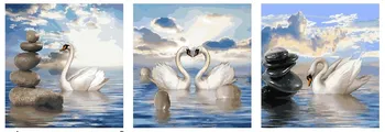 Painting by numbers PX 5171 swans 50*50*3 
Painting by numbers PX 5171 swans 50*50*3
