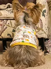 Ropa sin mangas para perro, Camiseta con estampado de animales para perro y gato, Camiseta de algodón con corazón a rayas, accesorios para cachorro, chaleco para perros