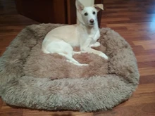 Invierno cálido cuadradas Super sueño reparador de perro cama de felpa larga lavable Cat Mat cesta para perros grandes cachorro casa nido cojín sofá