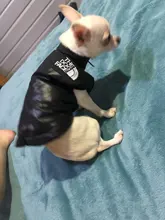 Dog Coat Jacket Pet-Dog-Clothes Down French-Bulldog Chihuahua Winter Fashion Small Medium-Sized