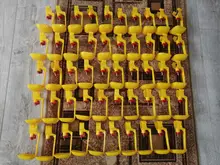 Farming-Equipment Drinkers Water-Bowl Chicken-Hanging Farmtools Models Nipple Pheasant