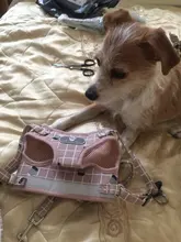 Arnés pequeño y mediano para perro, correa reflectante transpirable para el pecho, a cuadros, ropa para mascota Bichón, suministros de cadena para perro, chaleco estampado