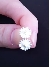 Fanqieliu-pendientes de plata de ley 925 auténtica con forma de luna y estrella para mujer, joyería Vintage creativa, aros cruzados, FQL20495