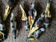 Cebo de espuma EVA para tiro con arco 3D, cebo de Animal para Paloma, para entrenamiento de caza al aire libre, vacío en el interior, 10 unids/lote