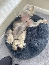 Enlace VIP, productos VIP