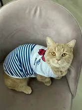 Miflame verano perro ropa para perros pequeños camisas pomerania ropa Bichon frutas perro camisetas de dibujos animados mascota camiseta para perro ropa