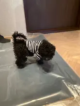 T-Shirt Vest Dogs Thin Striped Pet Small Soft for And Medium Dog-Cloth Round-Neck