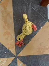 Juguetes de policarbonato para perros, mordedores de juguete para perros de dibujos animados, resistente a mordeduras trenzadas, Limpieza de dientes, cuerda de algodón