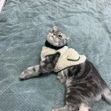 Scarf Jacket Dogs French Bulldog Winter Plush-Coat Pet-Dog Cotton Warm Thick for Puppy-Ropa-Perro