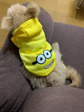 Ropa de dos patas para mascotas, abrigo cálido de lana con dibujos animados para perros y gatos, con orejas grandes, Otoño e Invierno