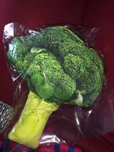 Juguete de mordida de perro para mascotas, mordedor de peluche para perros, Chihuahua, Yorkie, juguete para mascotas con sonido, entrenamiento interactivo, producto para mascotas