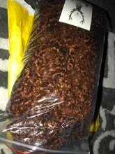 Afro corto rizado pelucas con flequillo para las mujeres negras rubia marrón Cosplay sintético Africana pelucas resistente al calor Lizzy