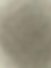 Body Sexy de punto acanalado de corte bajo para mujer, mono de manga larga con cuello de pico en negro, blanco y rojo, ropa de oficina para mujer, Top ajustado para Otoño e Invierno