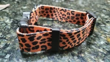 Pet-Accessories Leash-Set Color-Suit Dog-Collar Dogs Leopard Beagle Designe for Pet-Kit