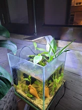 Aquarium-Lights Aquatic-Freshwater-Lamps Fish-Tanks Led-Plants Clip-On-Lamp Waterproof