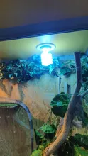 Bombilla de lámpara para reptiles y tortugas, luz de ahorro de energía de 13w y 26w para reptiles, serpiente, lagarto Lguanas, de calor y calcio, UVB 5,0 10,0