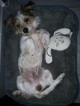 Cama rectangular para perro, saco de dormir, perrera, sofá para cachorro, casa para mascotas, cojín para camas para perros pequeños, legowisko, dla