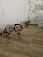 Mono de lana suave para perro, ropa de invierno para perros, pijamas para perros pequeños, trajes para mascotas, ropa con capucha para perros