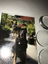 LFPU 10 Uds de vidrio de 25mm cabujón de accesorios de joyería en blanco Base para camafeo bandejas biseles de la joyería de moda DIY hacer