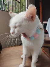 Bola de peluche de Collar para perros y gatos Collar dulce bufanda para perro lindo gatito accesorios Rosa correa para el cuello perrito con perla perro Pug Chihuahua