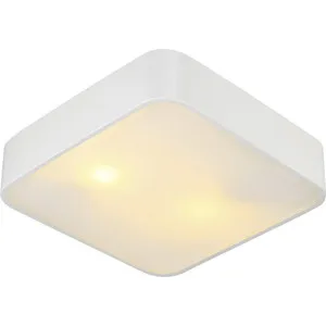 Ceiling Light artelamp supplier 
Ceiling Light artelamp supplier