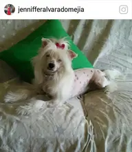 Electroestimulador eléctrico Heral Tens Estimulador muscular Ems, máquina de masaje corporal de acupuntura, 8 modelos, Terapia Digital