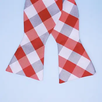 Men's self-tie (silk, gray, red, Cage) 53131
Men's self-tie (silk, gray, red, Cage) 53131