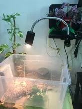 Reptile-Lamp-Set Hygrometer-Turtle Tortoises Heat-Light Lizard Basking UVA Uvb-3.0 Clip-On