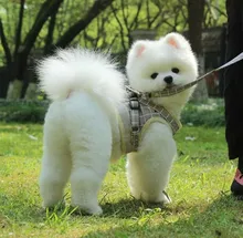 Arnés pequeño y mediano para perro, correa reflectante transpirable para el pecho, a cuadros, ropa para mascota Bichón, suministros de cadena para perro, chaleco estampado