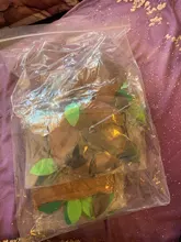 5Pcs Cute Small Pet Cage Sugar Glider Hamster Squirrel Swing Bed Nest Hammock