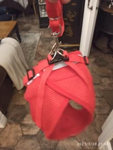 Dog Cat Harness Reflective Vest Pet Chest Strap Mesh Breathable Dog Harness And Walking