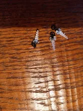 Fishing-Accessories Hook Stop-Screw Chod Boilies Ronnie-Rig Carp with Pop-Up 20PCS Used